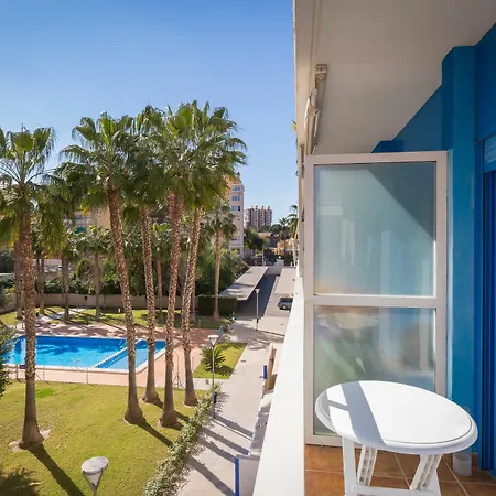 Palm House Apartment *