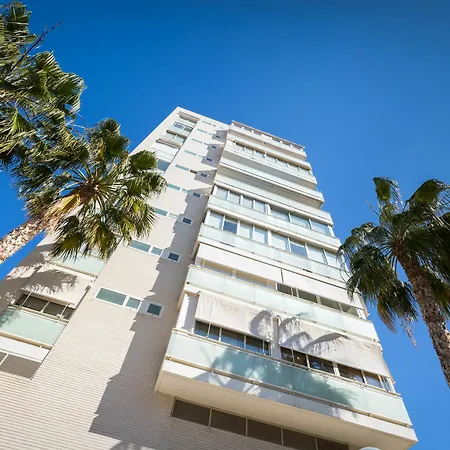 Palm House Apartment